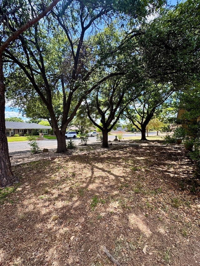 5214 Green Valley Trl, San Angelo, TX 76904 - view of yard