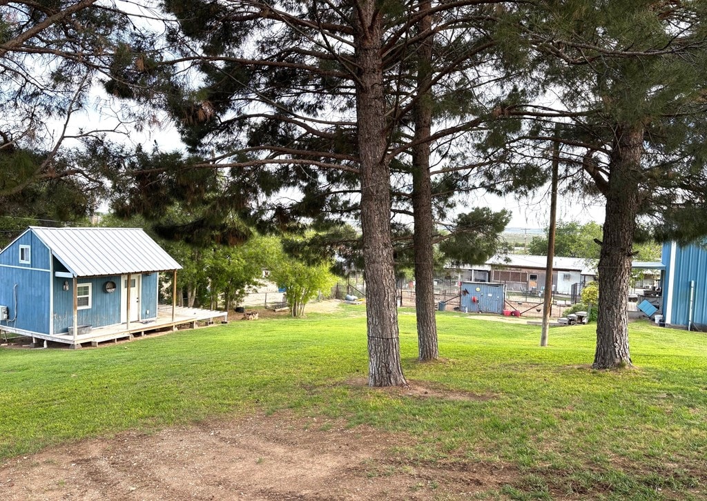 1210 Elizabeth St, Rankin, TX 79778 - view of grassy yard featuring an outbuilding and a shed