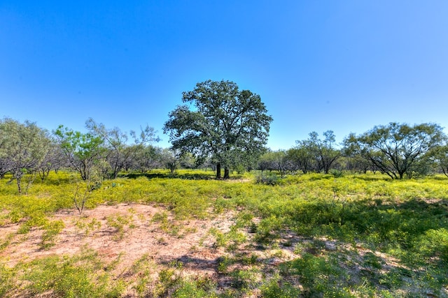 Listing photo 3 for 0 County Rd 474 Unit 55Acres, Coleman TX 76834