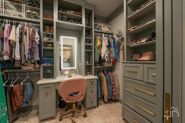 view of spacious closet