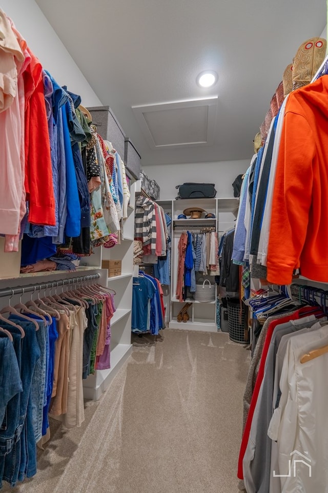 walk in closet featuring carpet and attic access