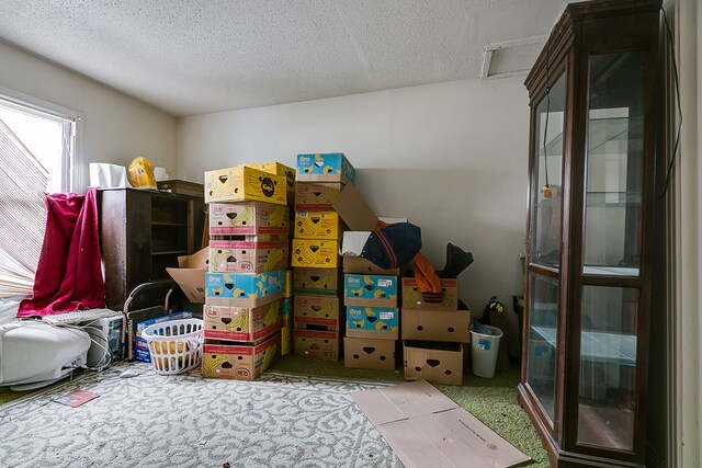 view of storage room