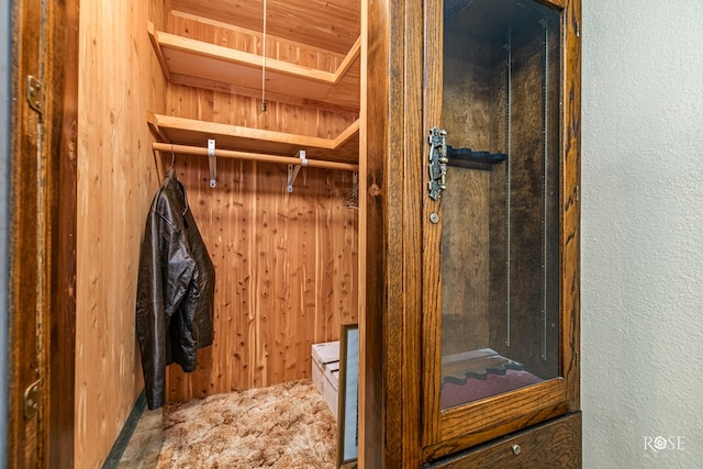 1729 Parkview Dr, San Angelo, TX 76904 - spacious closet with attic access