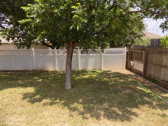 710 Penhurst Ct, San Angelo, TX 76901 - view of yard