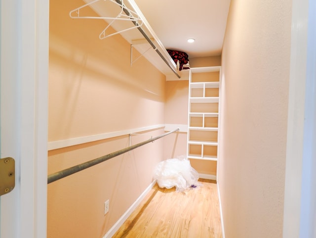 spacious closet with wood-type flooring