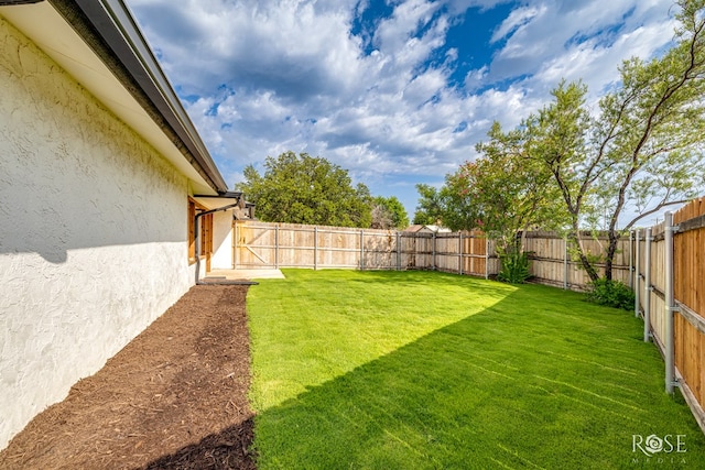 3610 Southland Blvd, San Angelo, TX 76904 - view of yard