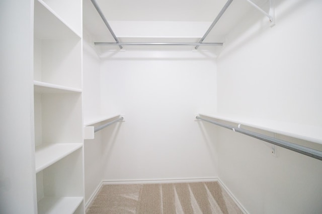 spacious closet with carpet floors