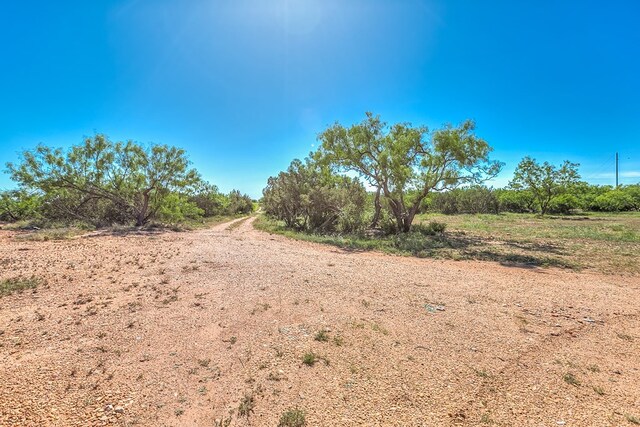 5001 Fm 2333, Bronte, TX 76933 - view of nature