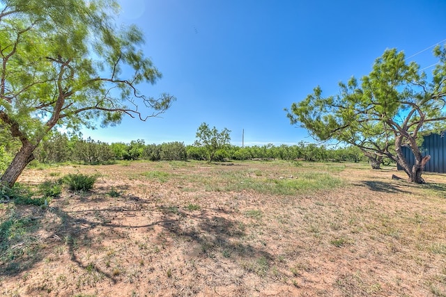 5001 Fm 2333, Bronte, TX 76933 - view of yard