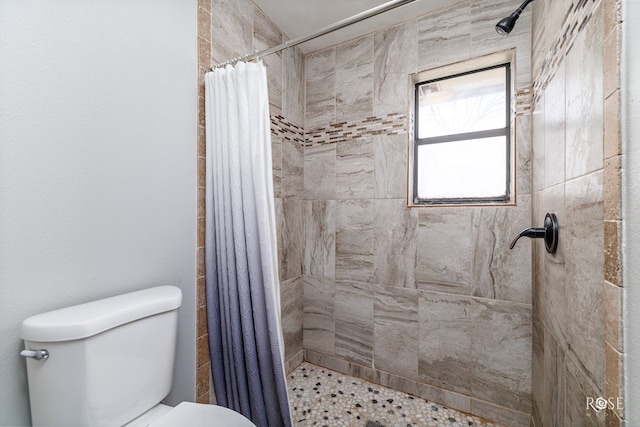 bathroom with toilet and a shower with curtain