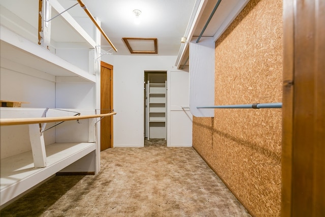 walk in closet with carpet flooring