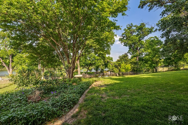 1703 Christoval Rd, San Angelo, TX 76903 - view of yard
