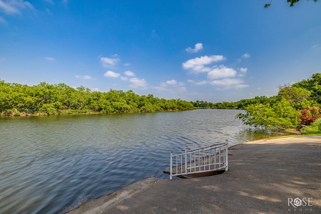 1703 Christoval Rd, San Angelo, TX 76903 - dock with a water view, a boat ramp, and a forest view