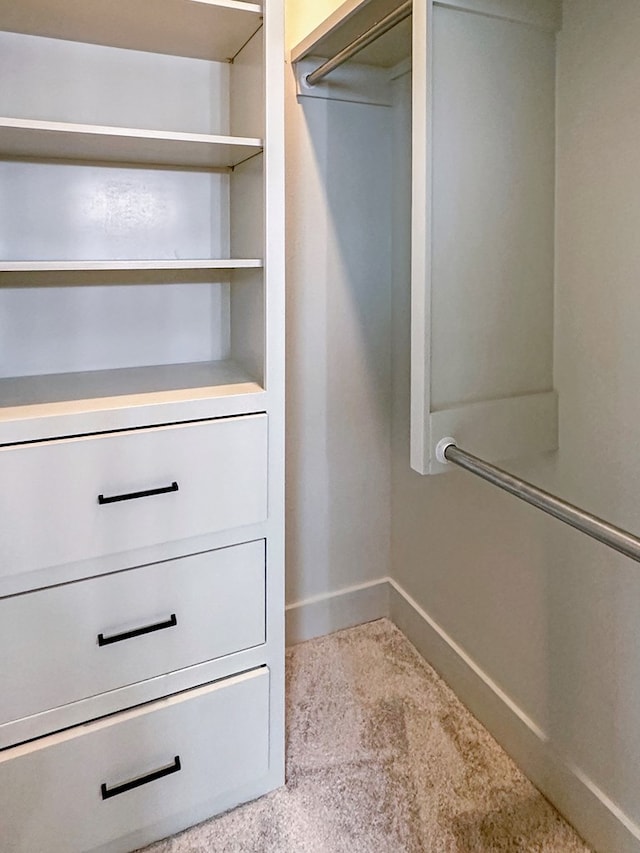 1603 Paseo De Vaca St, San Angelo, TX 76901 - spacious closet with carpet flooring