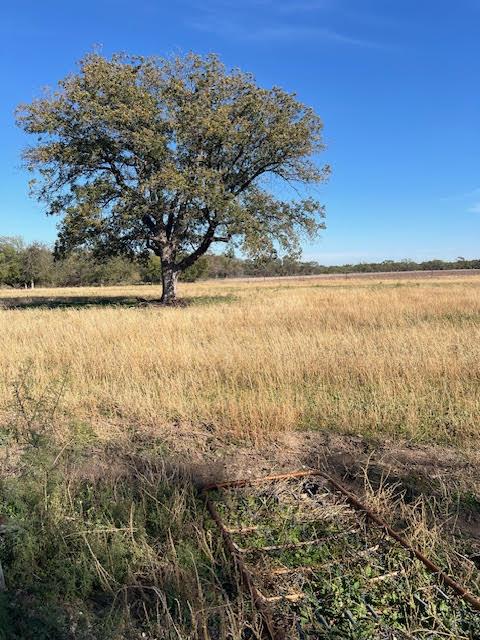 view of local wilderness featuring a rural view