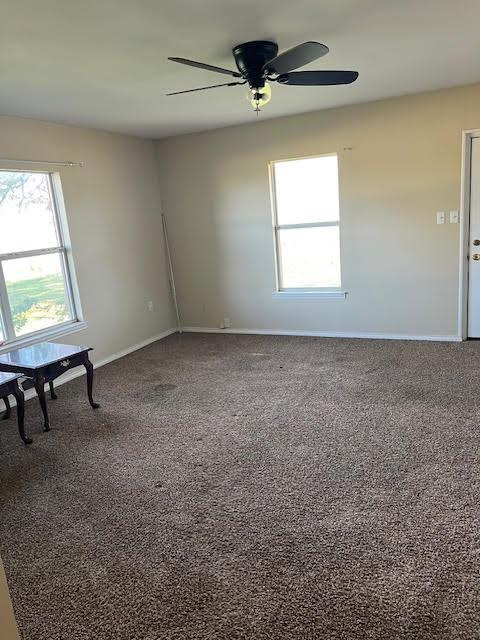 unfurnished room featuring ceiling fan and carpet floors