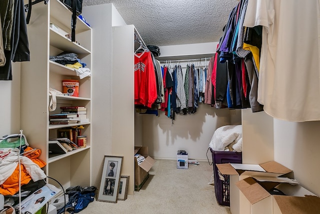 spacious closet with light colored carpet