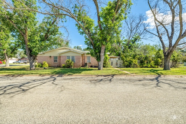 2029 China St, Brady, TX 76825 - ranch-style house featuring a front yard and brick siding