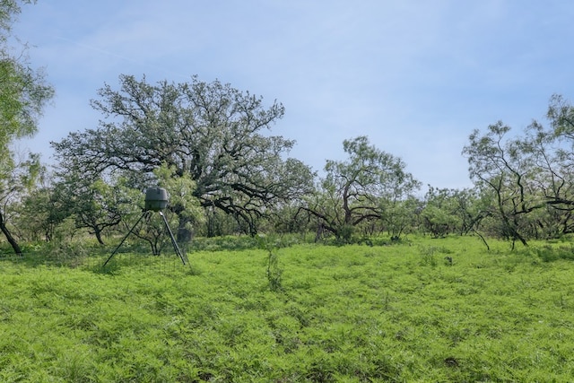 3980 US Highway 83, Eden, TX 76837 - photo 85