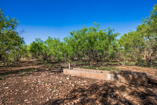 3980 US Highway 83, Eden, TX 76837 - photo 36