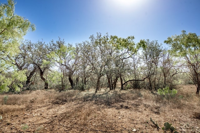 3980 US Highway 83, Eden, TX 76837 - photo 62