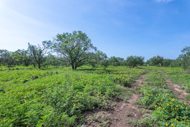 3980 US Highway 83, Eden, TX 76837 - photo 86