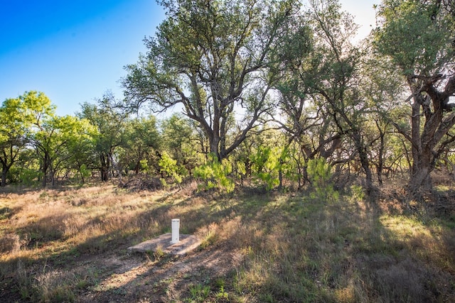 3980 US Highway 83, Eden, TX 76837 - photo 12