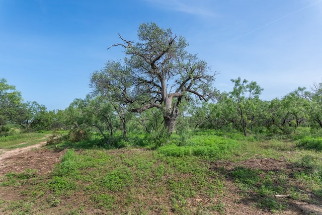 3980 US Highway 83, Eden, TX 76837 - photo 83