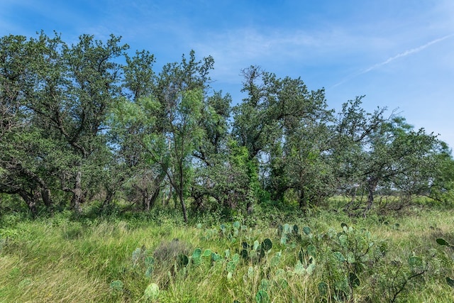 3980 US Highway 83, Eden, TX 76837 - photo 95