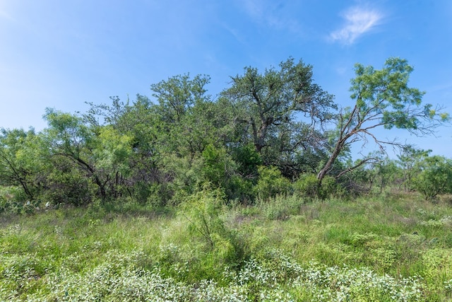 3980 US Highway 83, Eden, TX 76837 - photo 97