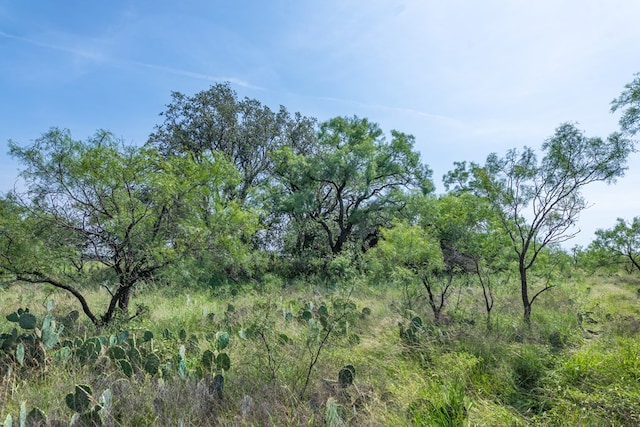 3980 US Highway 83, Eden, TX 76837 - photo 96