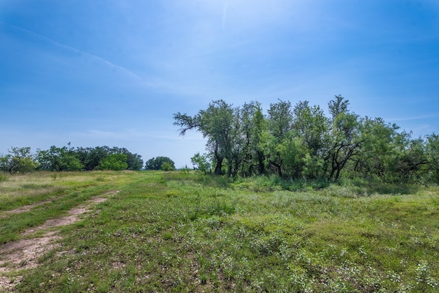 3980 US Highway 83, Eden, TX 76837 - photo 98