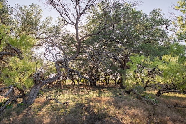 3980 US Highway 83, Eden, TX 76837 - photo 10