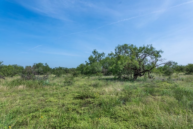 3980 US Highway 83, Eden, TX 76837 - photo 94