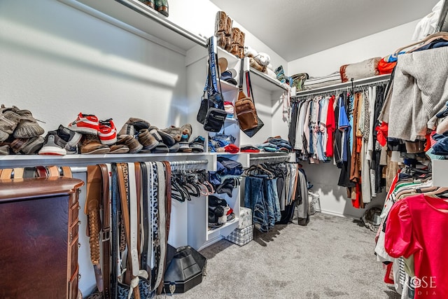 walk in closet featuring carpet flooring