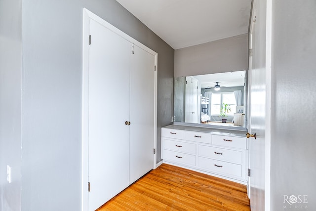 bathroom with wood finished floors and vanity