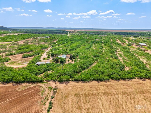 11483 N Grape Creek Rd, San Angelo, TX 76901 - photo 44