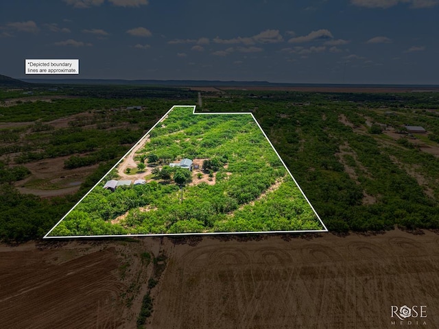 11483 N Grape Creek Rd, San Angelo, TX 76901 - photo 45
