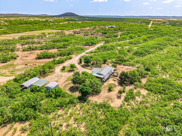 11483 N Grape Creek Rd, San Angelo, TX 76901 - photo 46