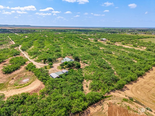 11483 N Grape Creek Rd, San Angelo, TX 76901 - photo 43