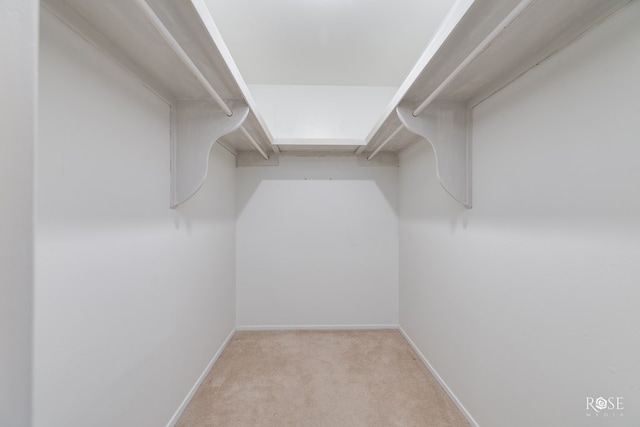 2305 Douglas Dr, San Angelo, TX 76904 - spacious closet with carpet floors