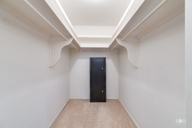 2305 Douglas Dr, San Angelo, TX 76904 - walk in closet with light carpet