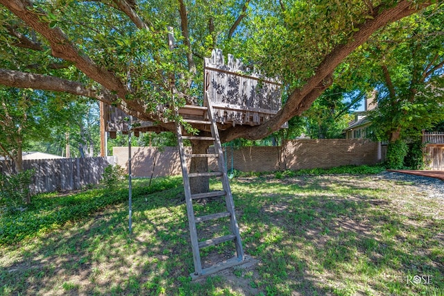 2305 Douglas Dr, San Angelo, TX 76904 - view of yard