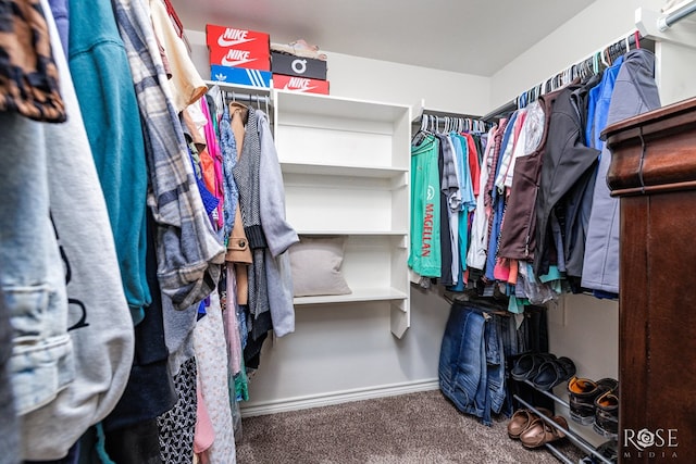 spacious closet with carpet