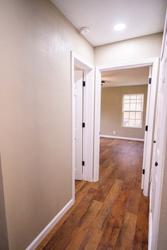 corridor with dark hardwood / wood-style floors