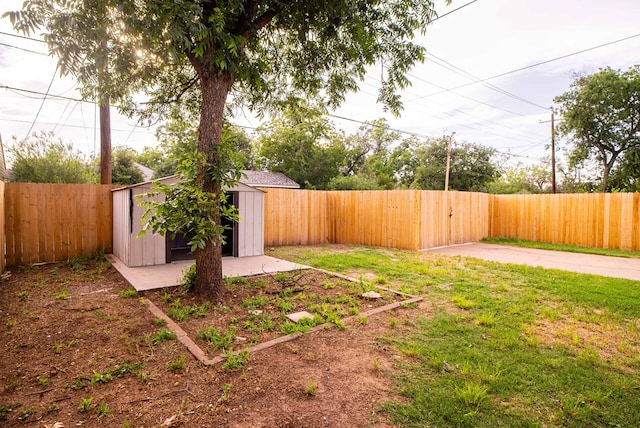 view of yard with a storage shed and a patio