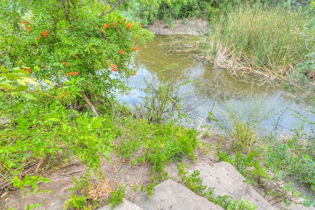 view of local wilderness with a water view