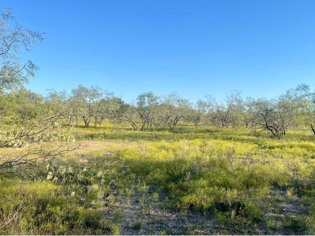 0 Fm 176, Eden TX, 76837 land for sale