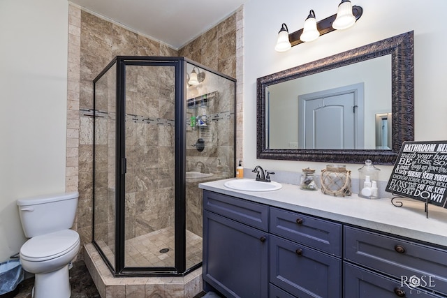 bathroom featuring toilet, a stall shower, and vanity