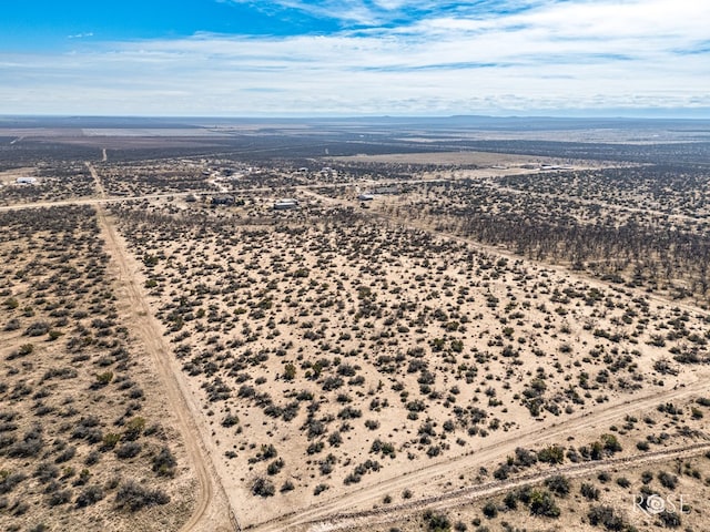 bird's eye view with a desert view